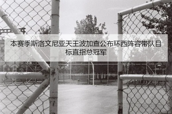 本赛季斯洛文尼亚天王波加查公布环西阵容带队目标直指总冠军